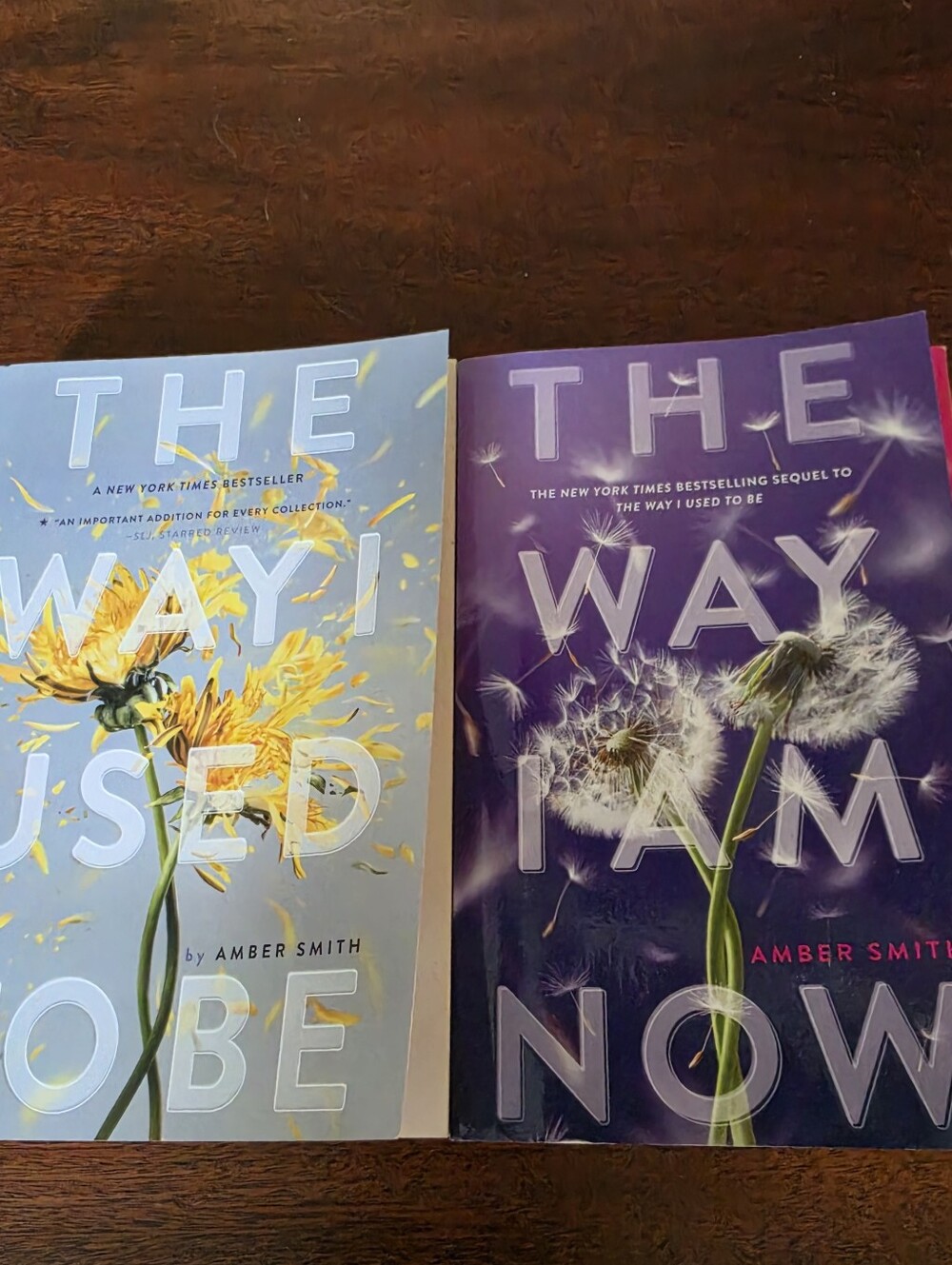 The Way I Used To Be And The Way I Am Now By Amber Smith Paperback Books